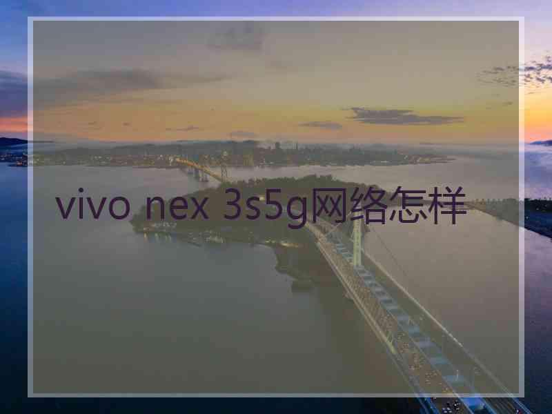 vivo nex 3s5g网络怎样