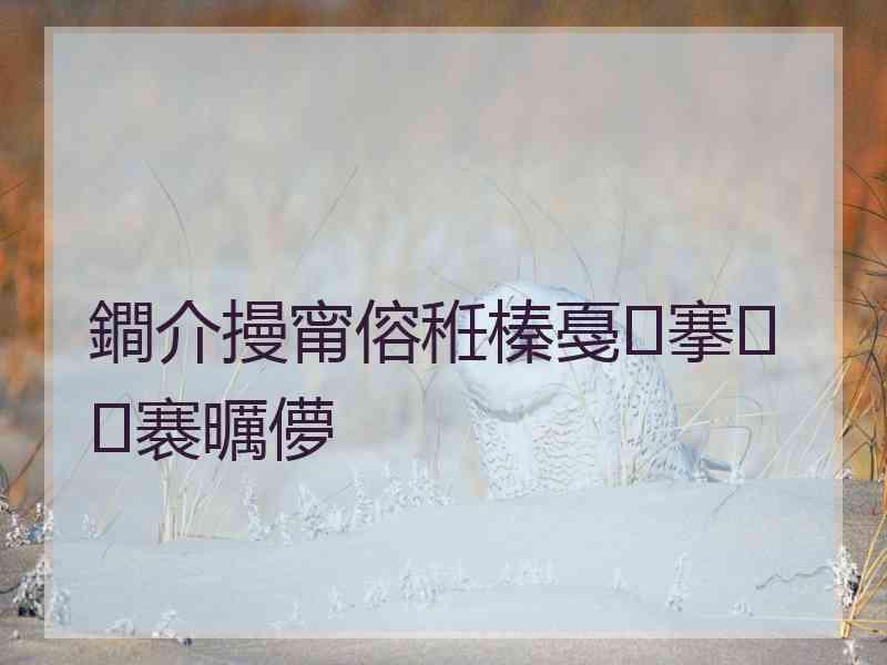 鐧介摱甯傛秹榛戞搴褰曞儚