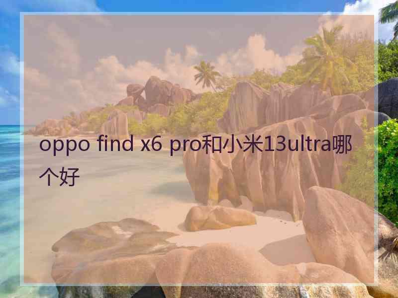 oppo find x6 pro和小米13ultra哪个好