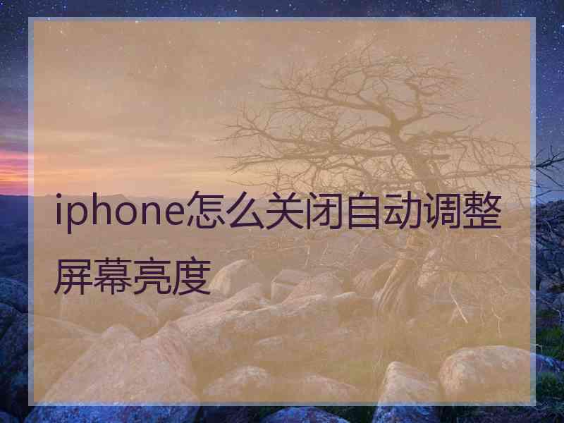 iphone怎么关闭自动调整屏幕亮度