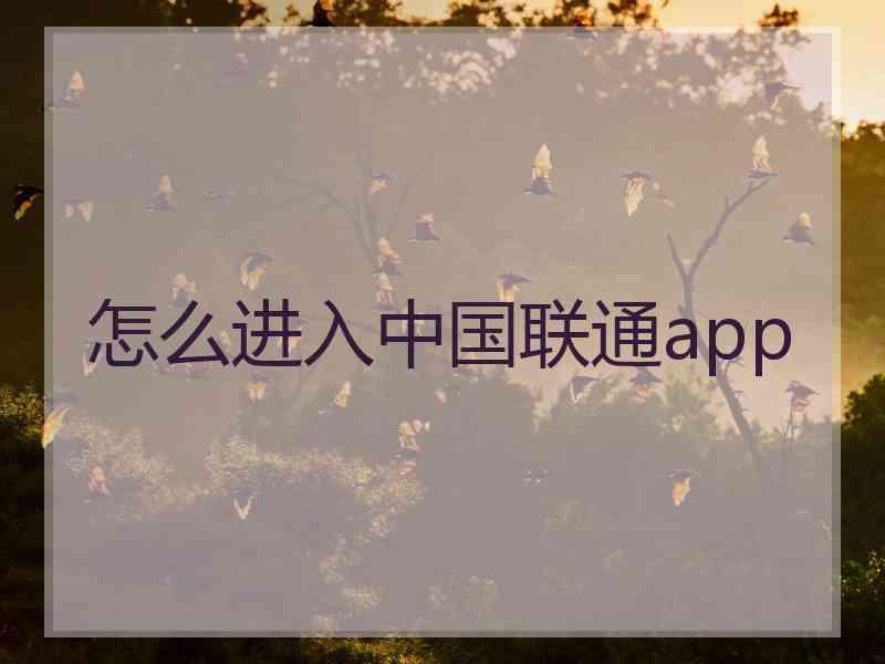 怎么进入中国联通app