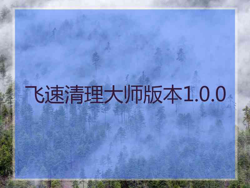 飞速清理大师版本1.0.0