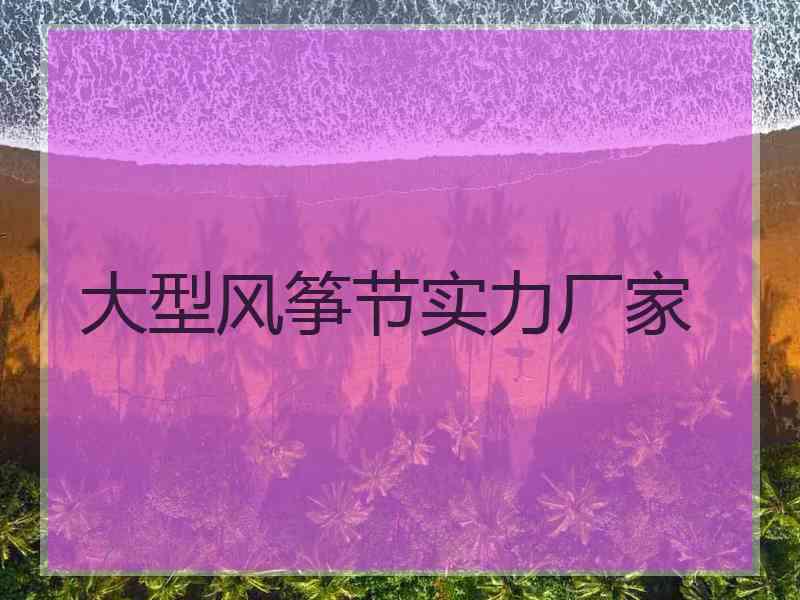 大型风筝节实力厂家