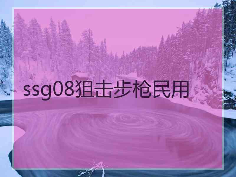 ssg08狙击步枪民用