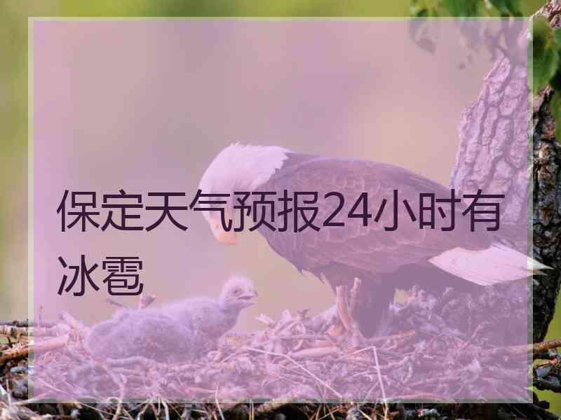 保定天气预报24小时有冰雹