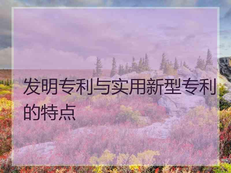 发明专利与实用新型专利的特点