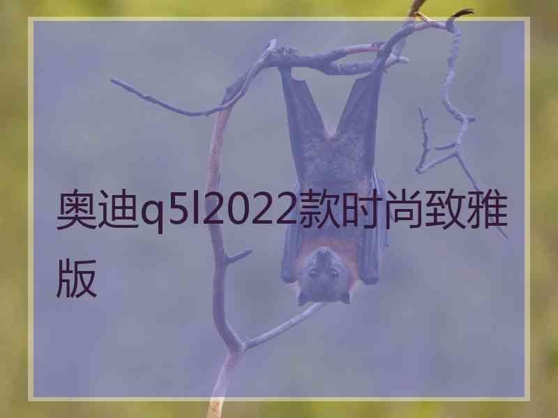 奥迪q5l2022款时尚致雅版