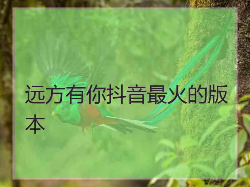 远方有你抖音最火的版本