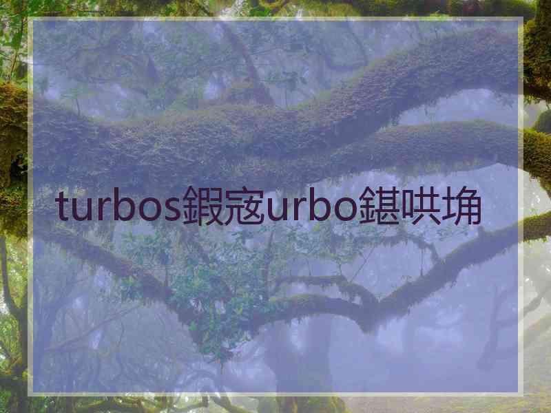 turbos鍜宼urbo鍖哄埆