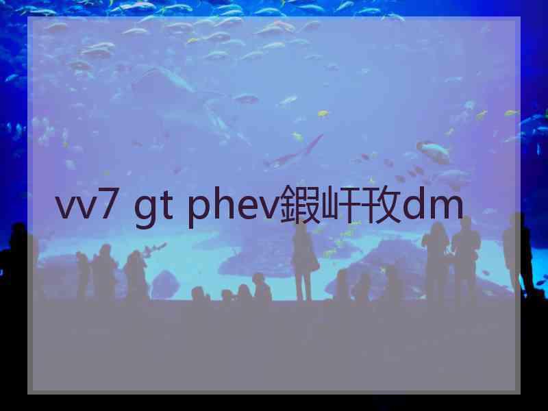 vv7 gt phev鍜屽攼dm