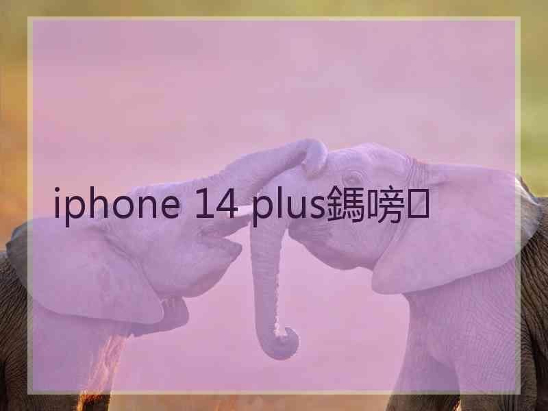 iphone 14 plus鎷嗙