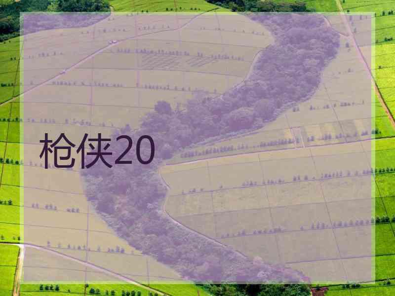 枪侠20