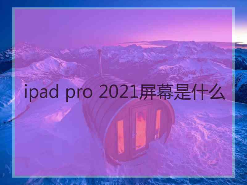 ipad pro 2021屏幕是什么