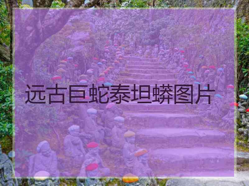 远古巨蛇泰坦蟒图片