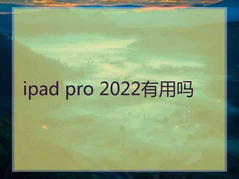 ipad pro 2022有用吗