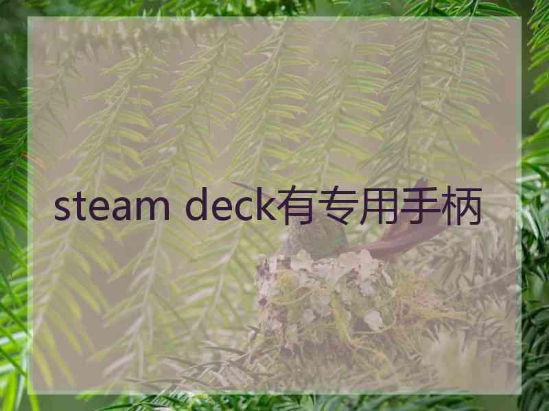 steam deck有专用手柄