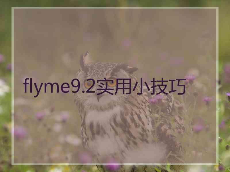 flyme9.2实用小技巧