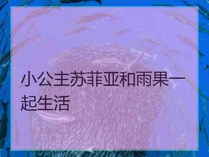 小公主苏菲亚和雨果一起生活