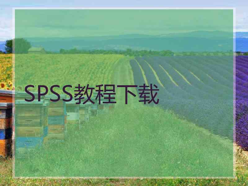 SPSS教程下载