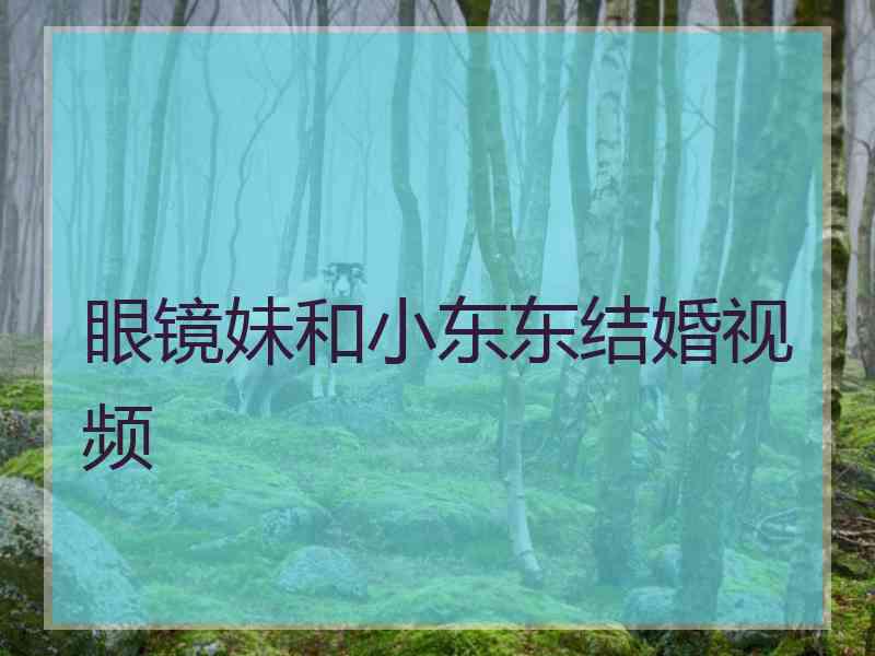 眼镜妹和小东东结婚视频