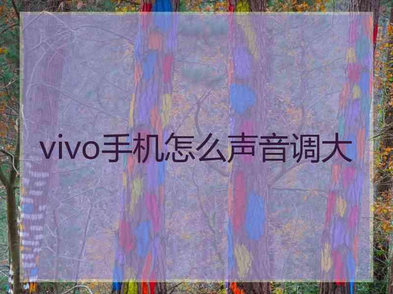 vivo手机怎么声音调大