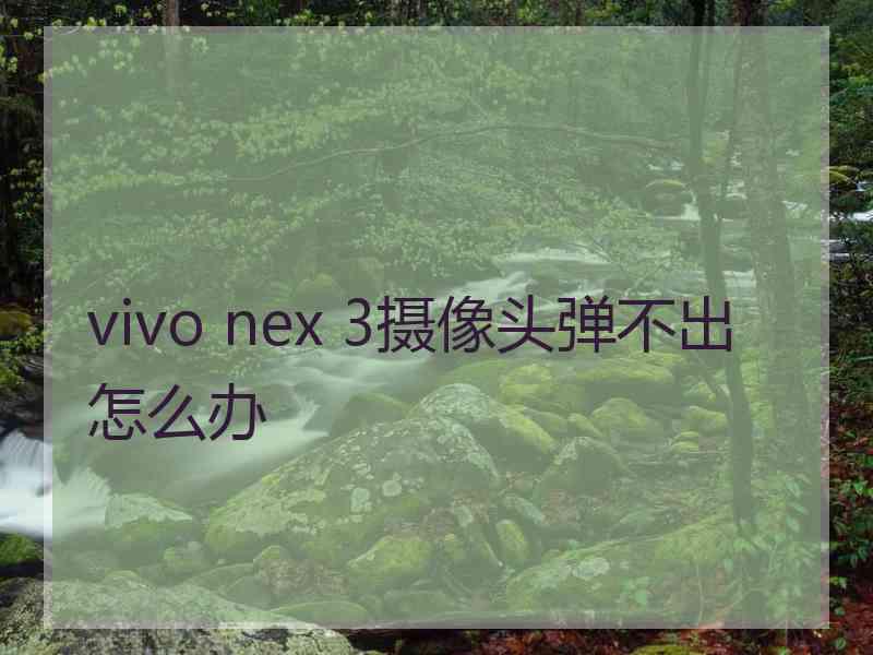 vivo nex 3摄像头弹不出怎么办