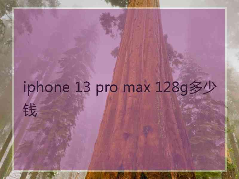 iphone 13 pro max 128g多少钱