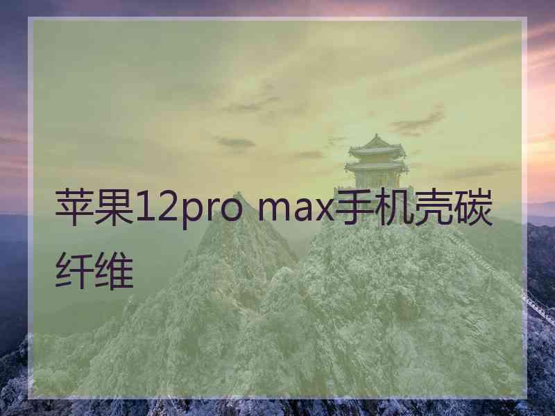 苹果12pro max手机壳碳纤维