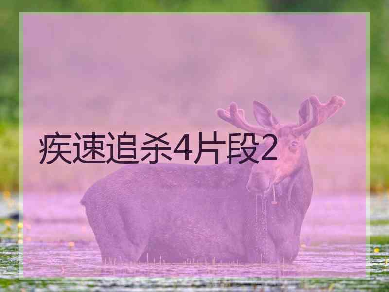 疾速追杀4片段2