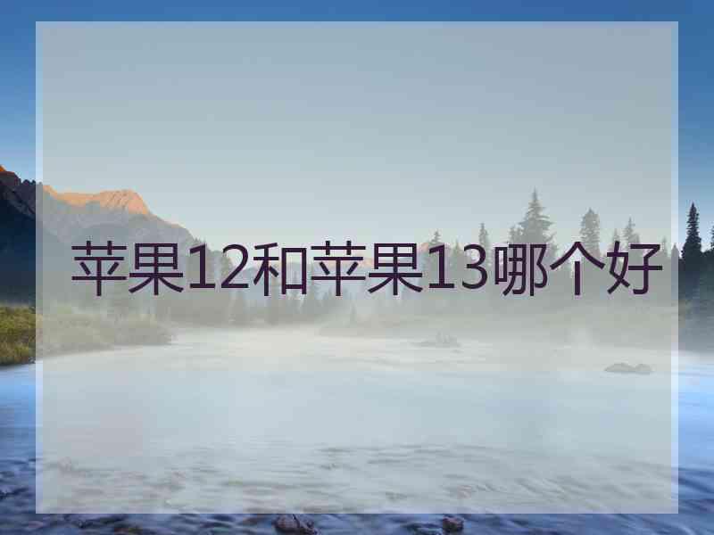 苹果12和苹果13哪个好