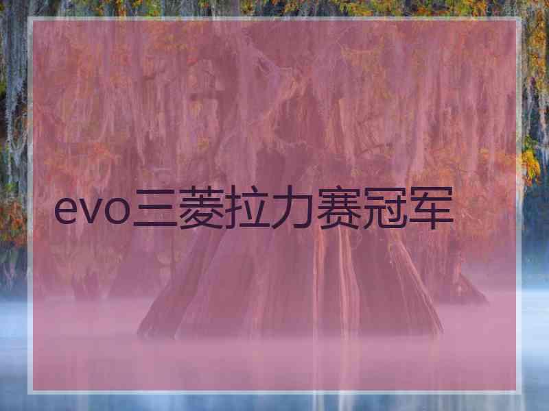 evo三菱拉力赛冠军