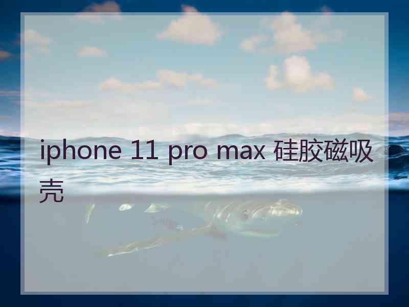 iphone 11 pro max 硅胶磁吸壳