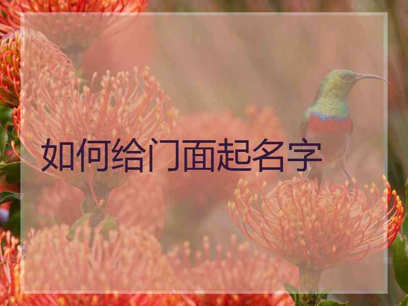 如何给门面起名字