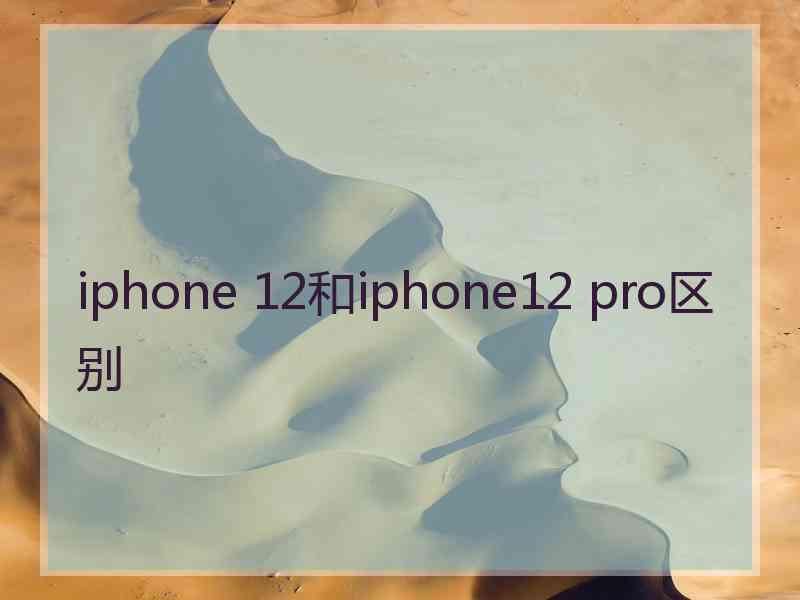 iphone 12和iphone12 pro区别