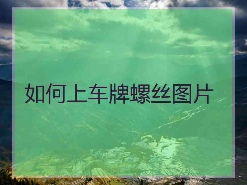 如何上车牌螺丝图片