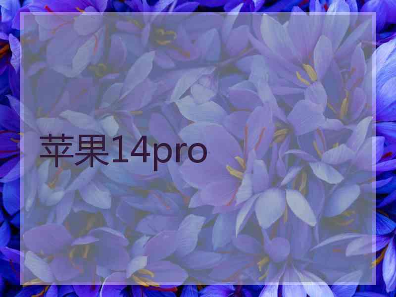 苹果14pro