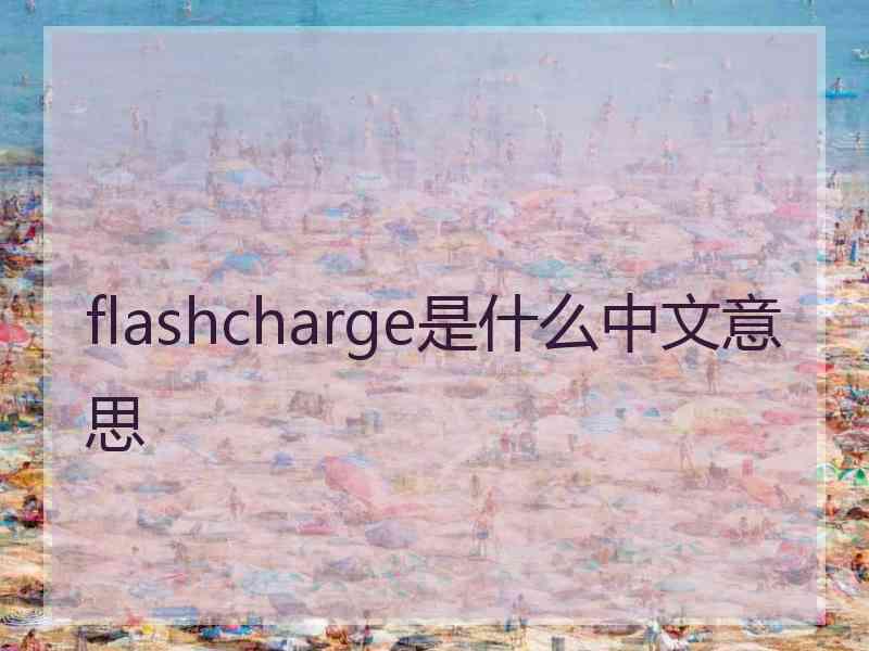 flashcharge是什么中文意思