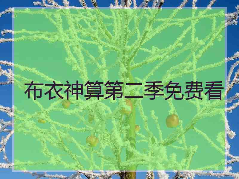 布衣神算第二季免费看