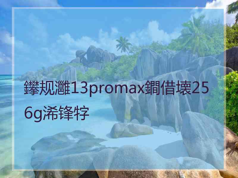 鑻规灉13promax鐧借壊256g浠锋牸