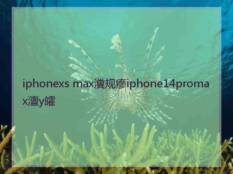 iphonexs max瀵规瘮iphone14promax澶у皬