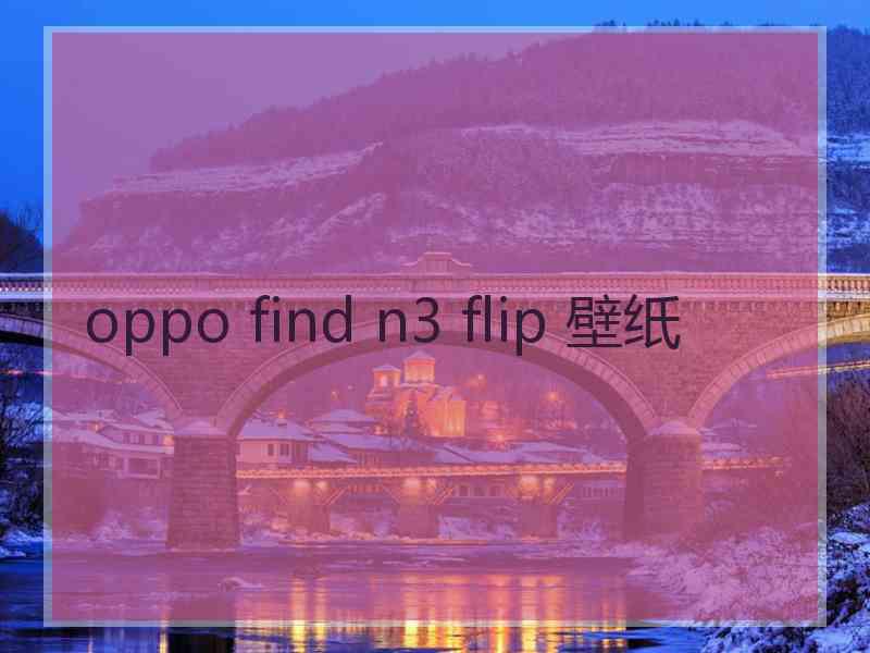 oppo find n3 flip 壁纸