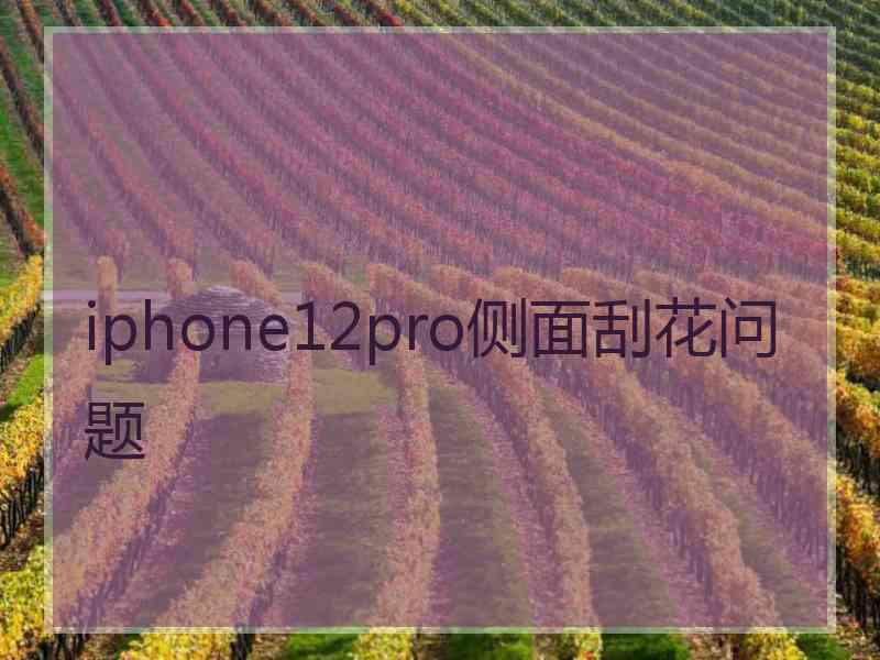 iphone12pro侧面刮花问题