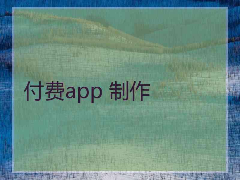 付费app 制作