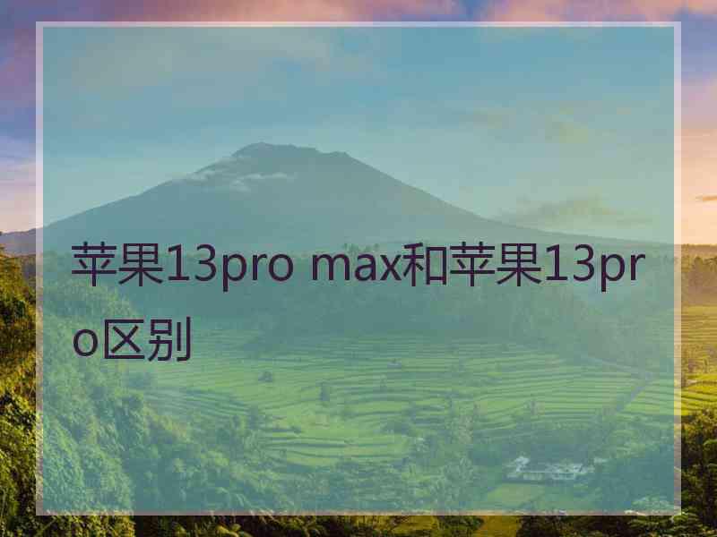 苹果13pro max和苹果13pro区别