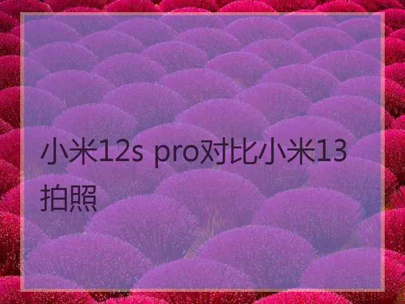 小米12s pro对比小米13拍照