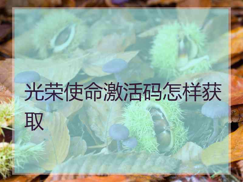 光荣使命激活码怎样获取