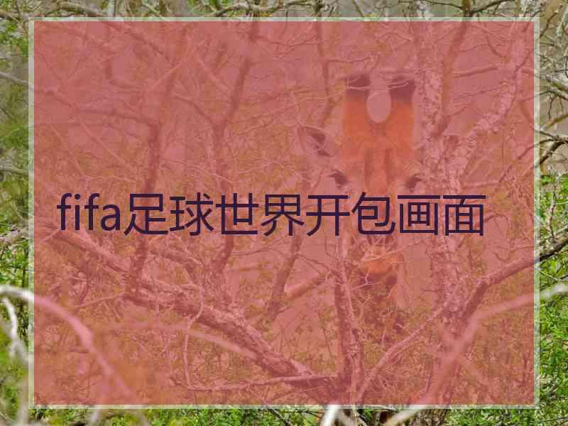 fifa足球世界开包画面