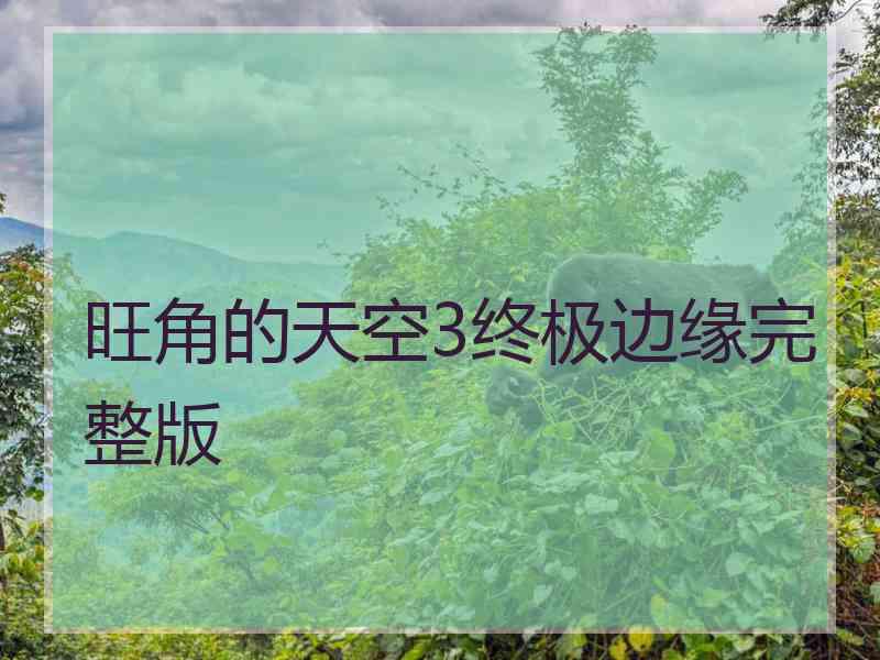 旺角的天空3终极边缘完整版