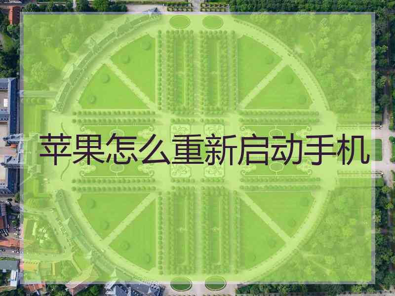 苹果怎么重新启动手机