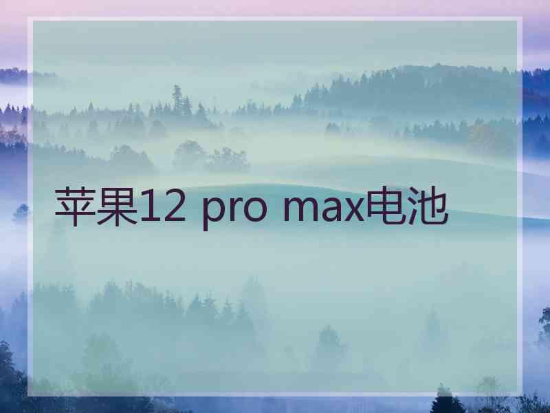 苹果12 pro max电池